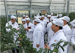ハイテク農業 ハウス見学(ベトナム政府代表団)