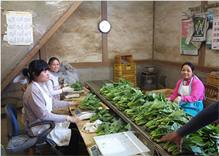 ハイテク農業 ハウス見学(ベトナム政府代表団)